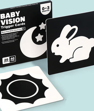 Arden Lane Baby Visual Stimulation Cards
