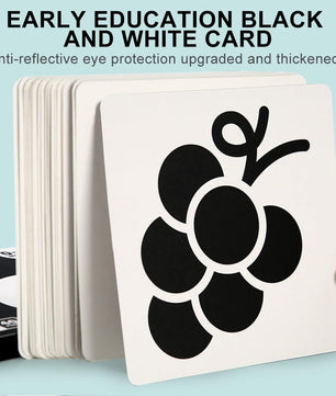 Arden Lane Baby Visual Stimulation Cards