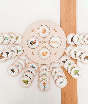 Arden Lane Life Cycle Board Kit