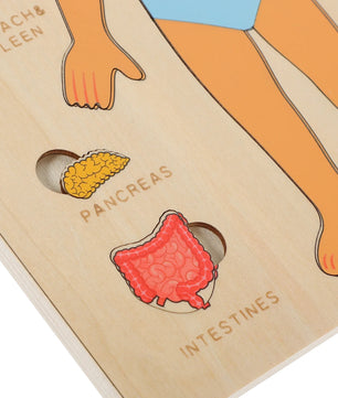 Arden Lane Human Body Jigsaw Puzzle