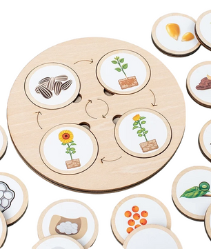 Arden Lane Life Cycle Board Kit
