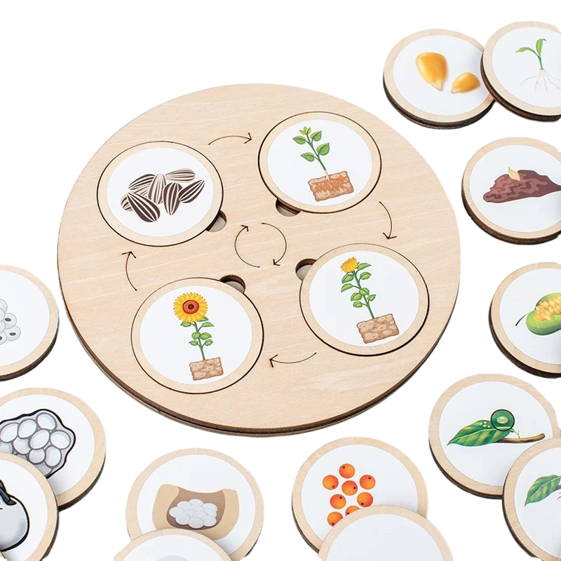 Arden Lane Life Cycle Board Kit