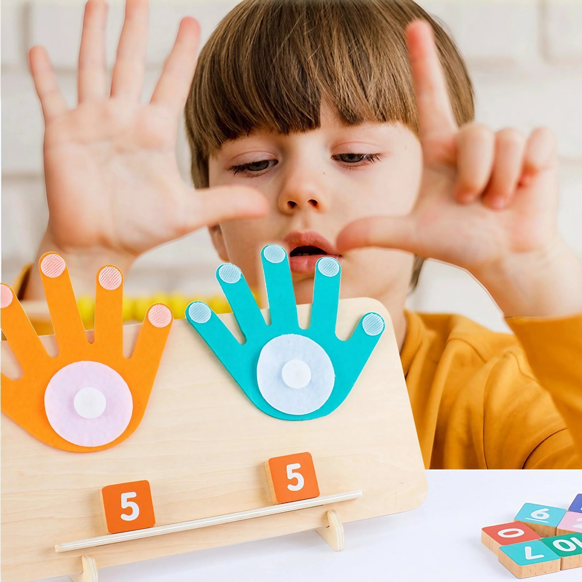 Arden Lane Math Counting Toy