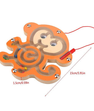 Arden Lane Magnetic Maze