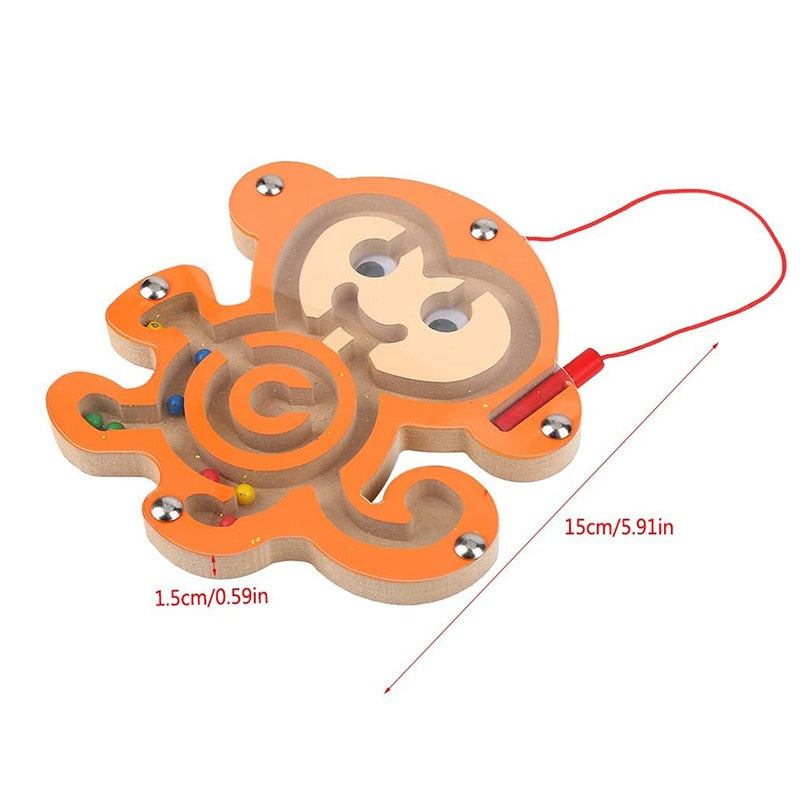 Arden Lane Magnetic Maze