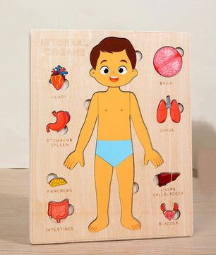 Arden Lane Human Body Jigsaw Puzzle