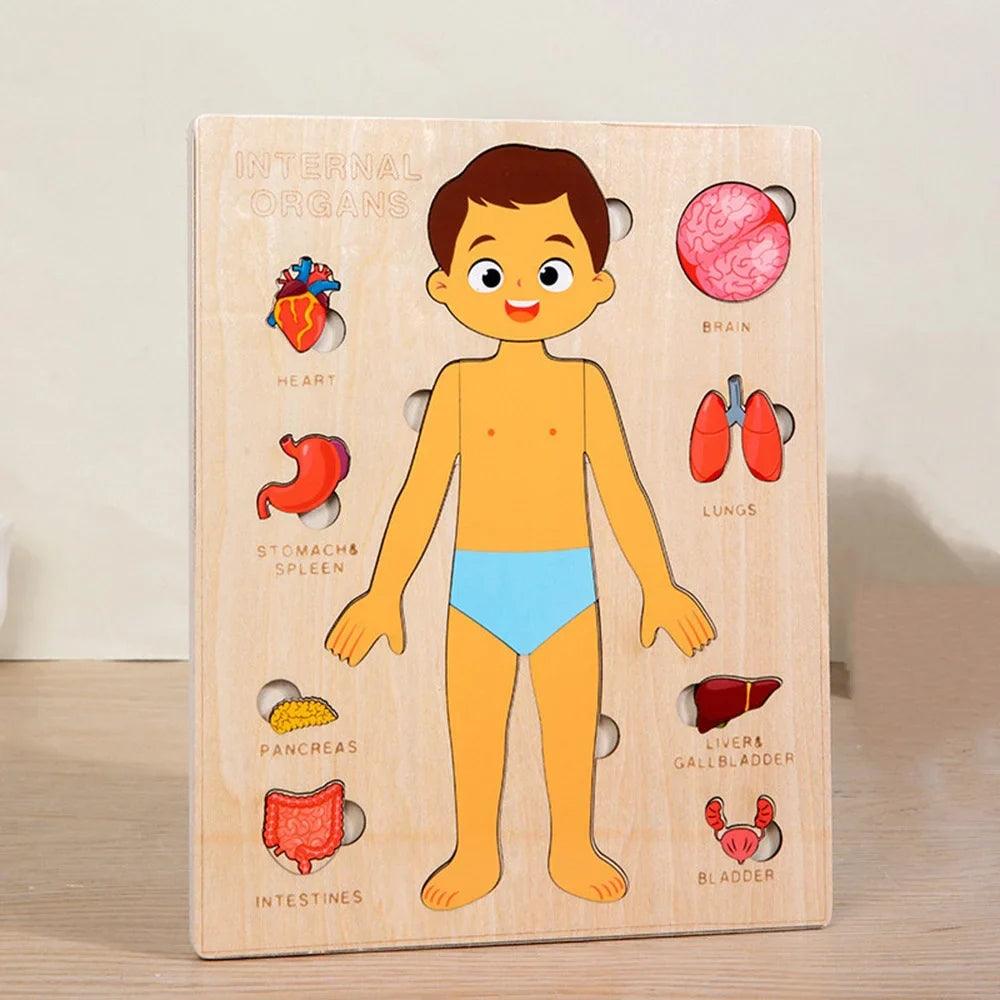 Arden Lane Human Body Jigsaw Puzzle