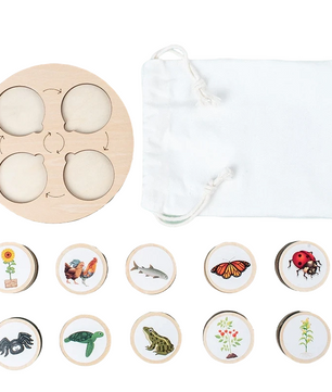 Arden Lane Life Cycle Board Kit