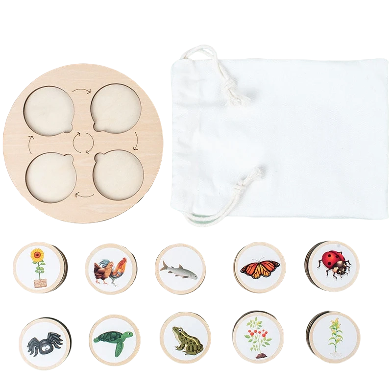 Arden Lane Life Cycle Board Kit