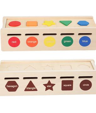 Color & Shape Sorter Toy
