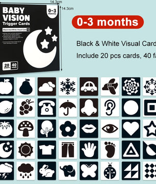 Arden Lane Baby Visual Stimulation Cards