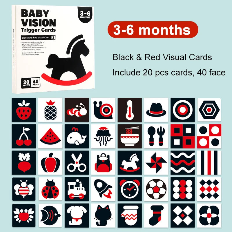 Arden Lane Baby Visual Stimulation Cards