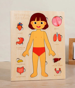 Arden Lane Human Body Jigsaw Puzzle