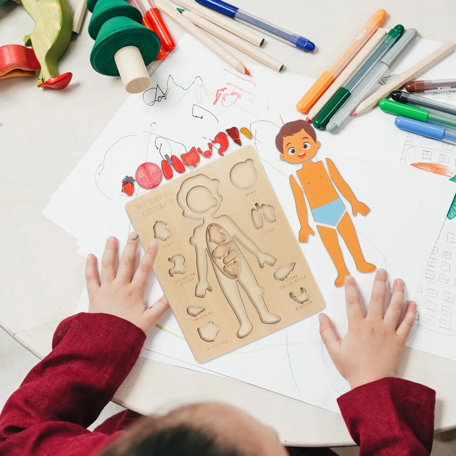 Arden Lane Human Body Jigsaw Puzzle