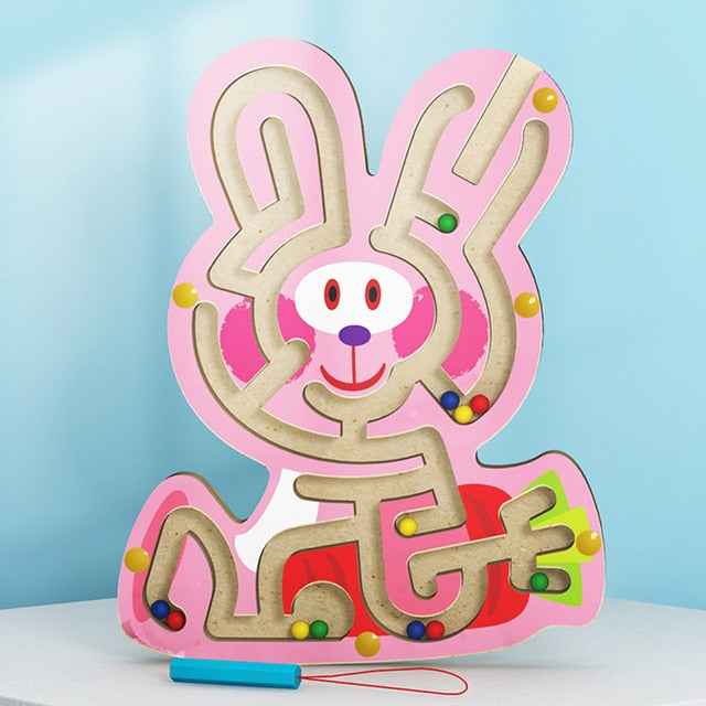 Arden Lane Magnetic Maze