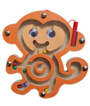 Arden Lane Magnetic Maze