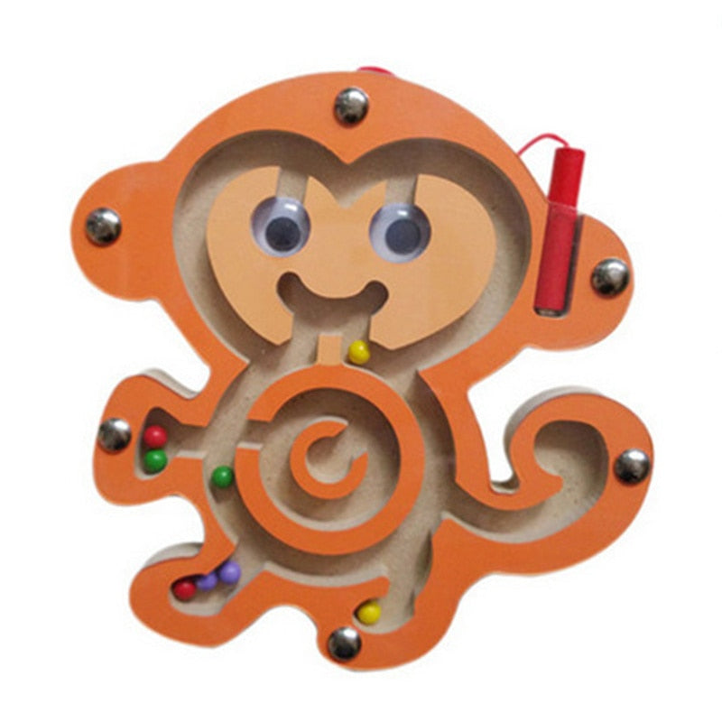 Arden Lane Magnetic Maze