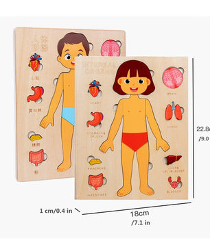Arden Lane Human Body Jigsaw Puzzle