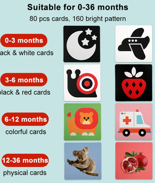 Arden Lane Baby Visual Stimulation Cards