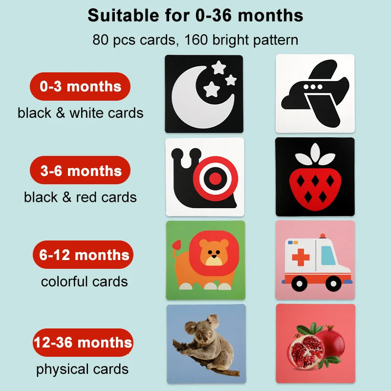 Arden Lane Baby Visual Stimulation Cards