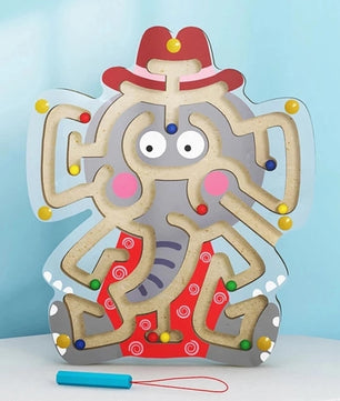 Arden Lane Magnetic Maze