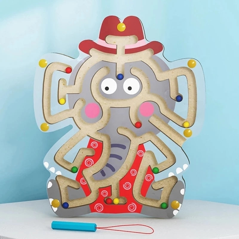 Arden Lane Magnetic Maze