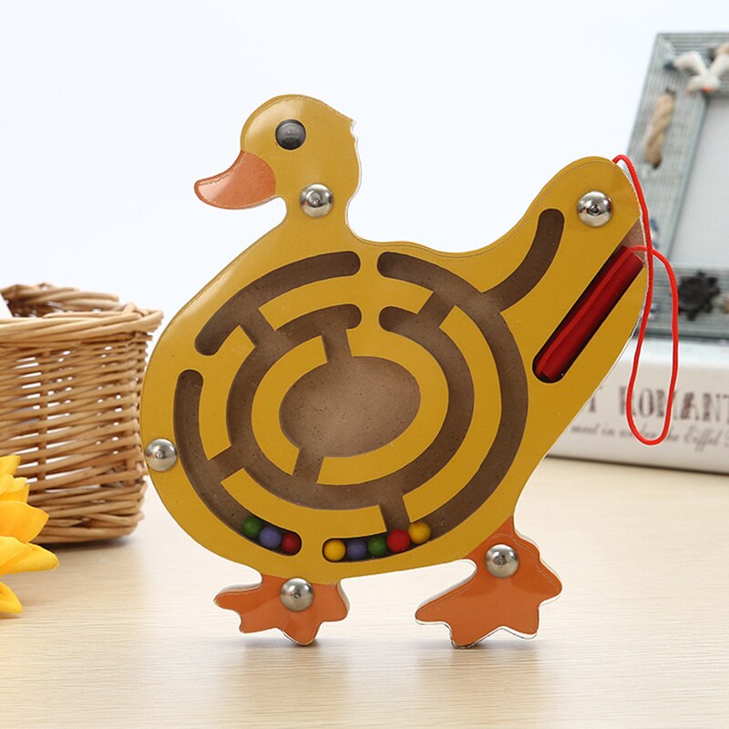 Arden Lane Magnetic Maze