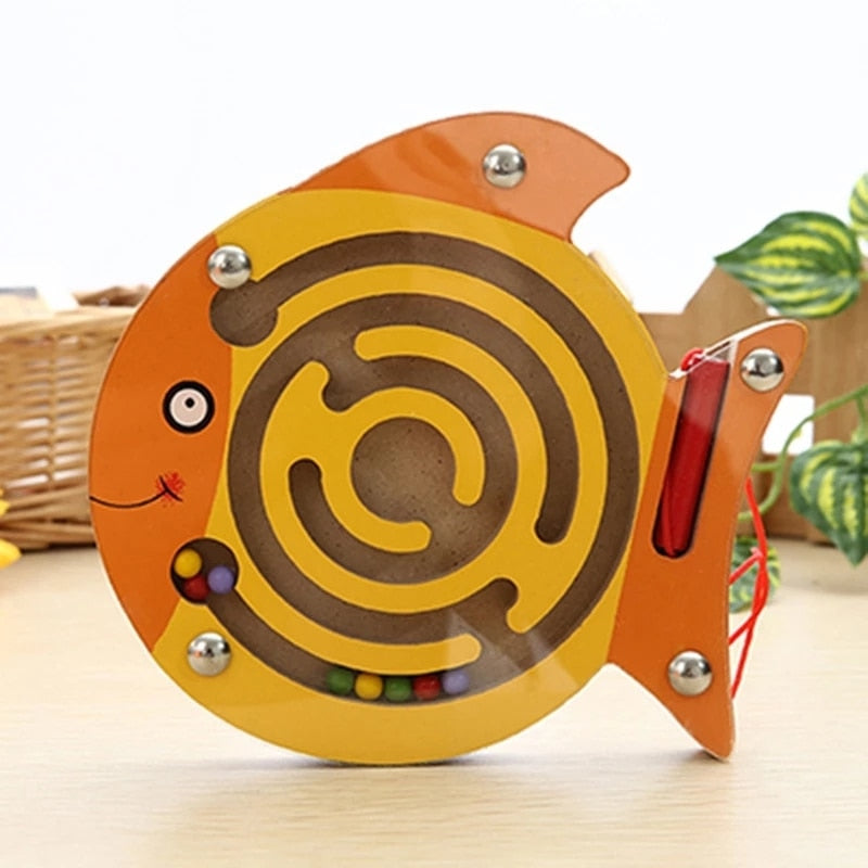 Arden Lane Magnetic Maze