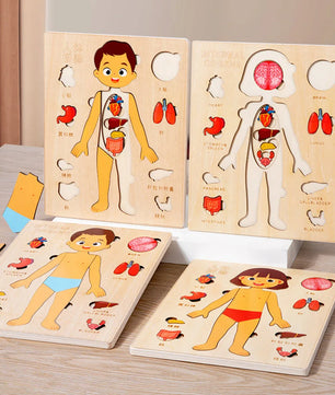 Arden Lane Human Body Jigsaw Puzzle